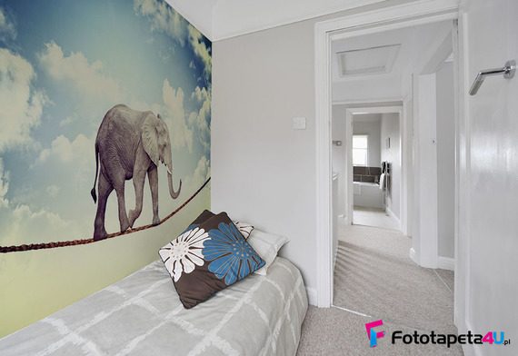 Slon-na-linie-fototapety-fototapety-do-pokoju-nastolatka-52290486-f4u
