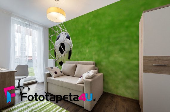 Pilka-w-grze-fototapety-fototapety-do-pokoju-nastolatka-209480233-f4u