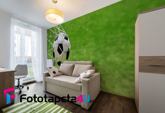 Pilka-w-grze-fototapety-fototapety-do-pokoju-nastolatka-209480233-f4u