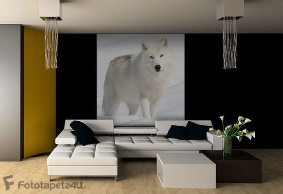 Zew-dzikiej-natury-zimowa-pora-fototapety-fototapety-do-salonu-6989442-f4u