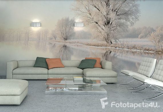 Posiedzmy-zima-nad-stawem-fototapety-fototapety-do-salonu-31335314-f4u