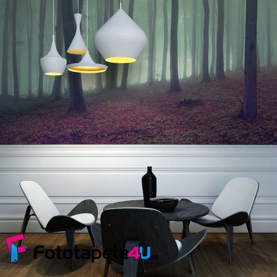 Zamglony-las-magnetyczne-przyciaganie-fototapety-fototapety-do-salonu-35159718-f4u