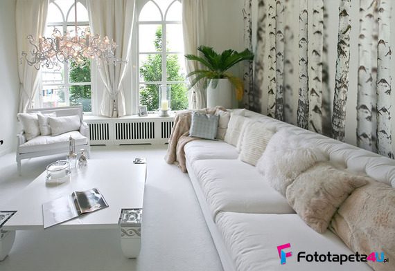 W-brzozowym-lesie-gdzie-panuje-mgla-fototapety-fototapety-do-salonu-43264231-f4u