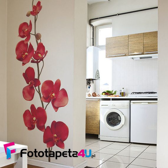 Moc-czerwonej-orchidei-fototapety-kwiaty-20760058-f4u
