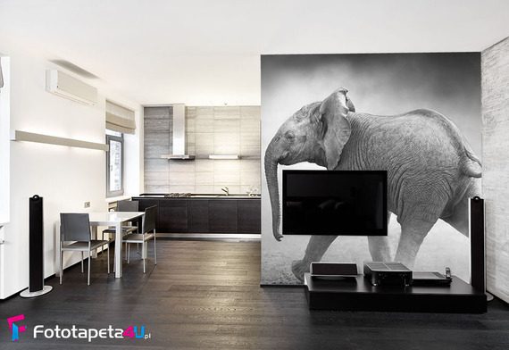 Wielki-slon-biega-po-scianie-fototapety-fototapety-do-salonu-43825758-f4u