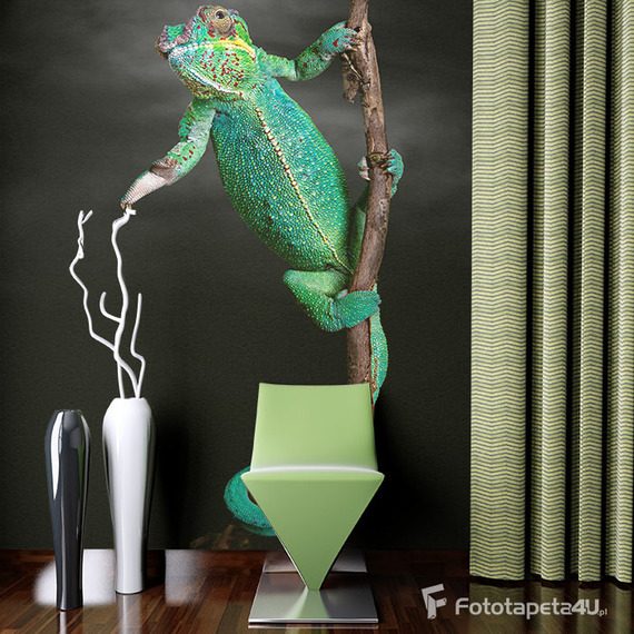 Kameleon-zawsze-ma-modne-kolory-fototapety-fototapety-do-salonu-43858244-f4u
