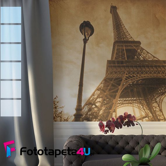 Paryska-dama-widziana-z-dolu-fototapety-fototapety-do-salonu-47606568-f4u