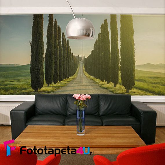 Perspektywa-ktora-wyznaczaja-cyprysy-fototapety-fototapety-do-salonu-51842028-f4u