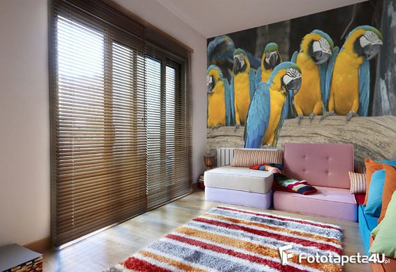 Pod-papugami-fototapety-fototapety-do-salonu-56005229-f4u