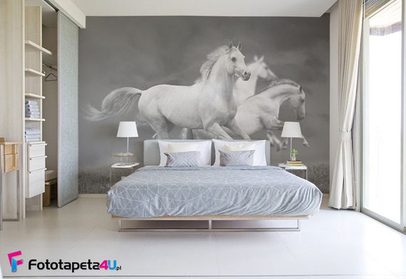 Konie-na-wolnosci-fototapety-fototapety-do-sypialni-39606593-f4u