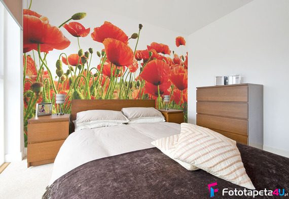 Drzemka-pomiedzy-makami-fototapety-fototapety-do-sypialni-44701523-f4u