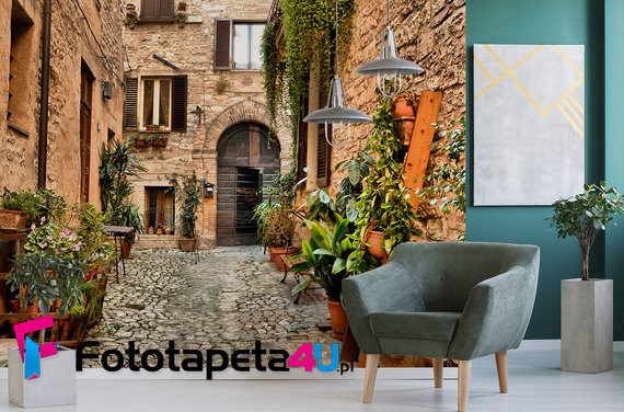 Perspektywa-zabytkowej-uliczki-fototapety-uliczki-38246596-f4u
