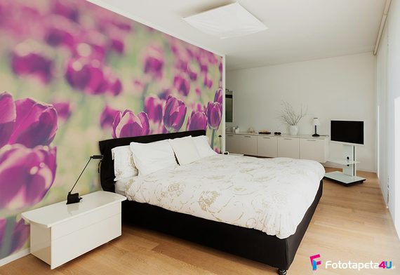Zamglone-pole-tulipanow-fototapety-kwiaty-75828752-f4u