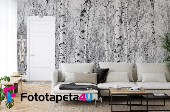 W-brzozowym-klimatycznym-lesie-fototapety-skandynawia-156248383-f4u